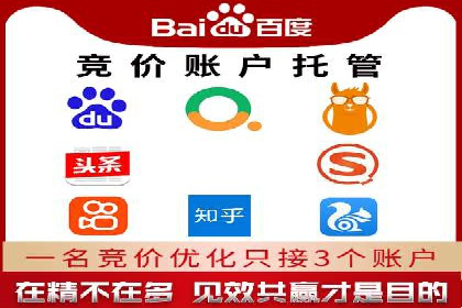 成功SEM服务案例分析报告